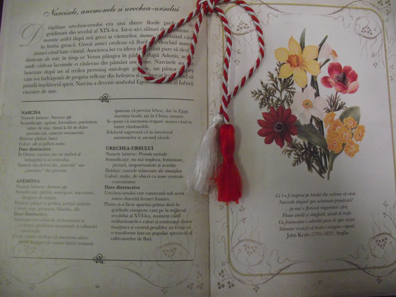 Expo Doamnele artelor plastice rom 020